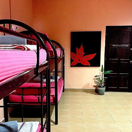 Home Sol Guesthouse Pantai Cenang  Buitenkant foto